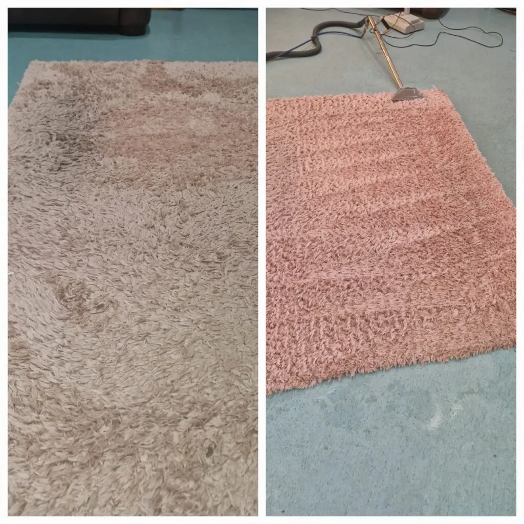 Rug cleaning Dundee