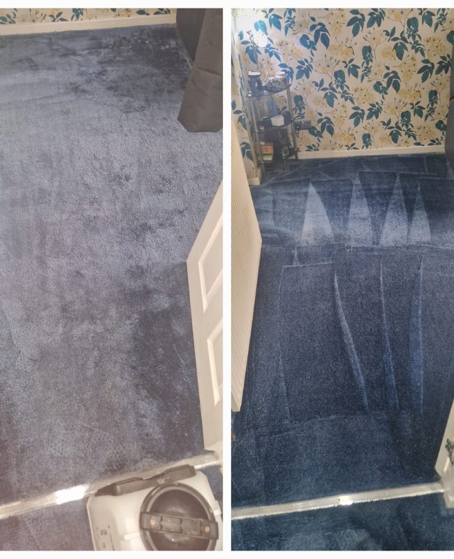 20250304_112220 Dundee carpet cleaning