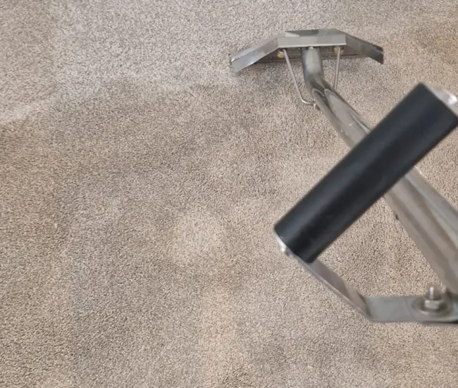 Carpet cleaning Dundee Carpet cleaning Dundee